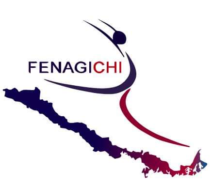 www.fenagichi.cl